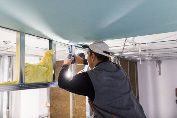 Best Insulation Contractors for Homes  in Strawberry Plains, TN