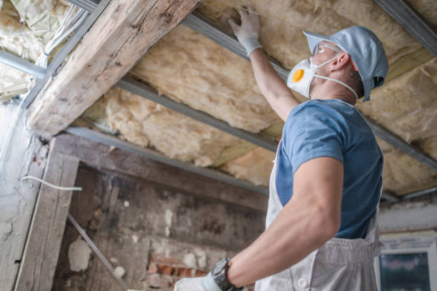 Reliable Strawberry Plains, TN Insulation Contractor Solutions
