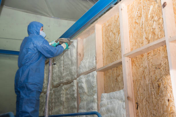Best Attic Insulation Near Me  in Strawberry Plains, TN