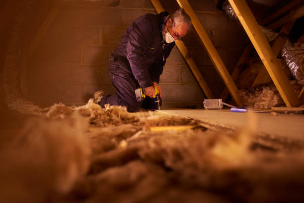 Best Wall Insulation Contractor  in Strawberry Plains, TN